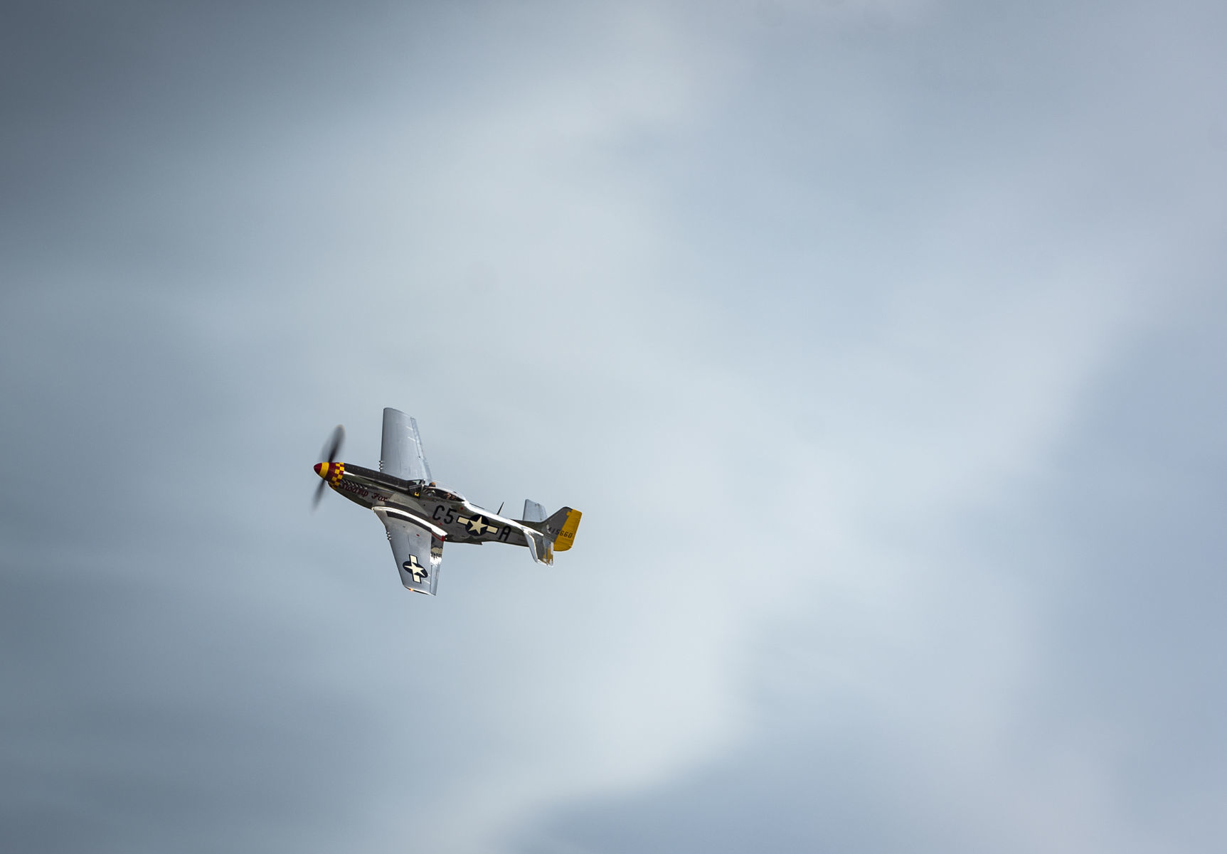 Snowbirds